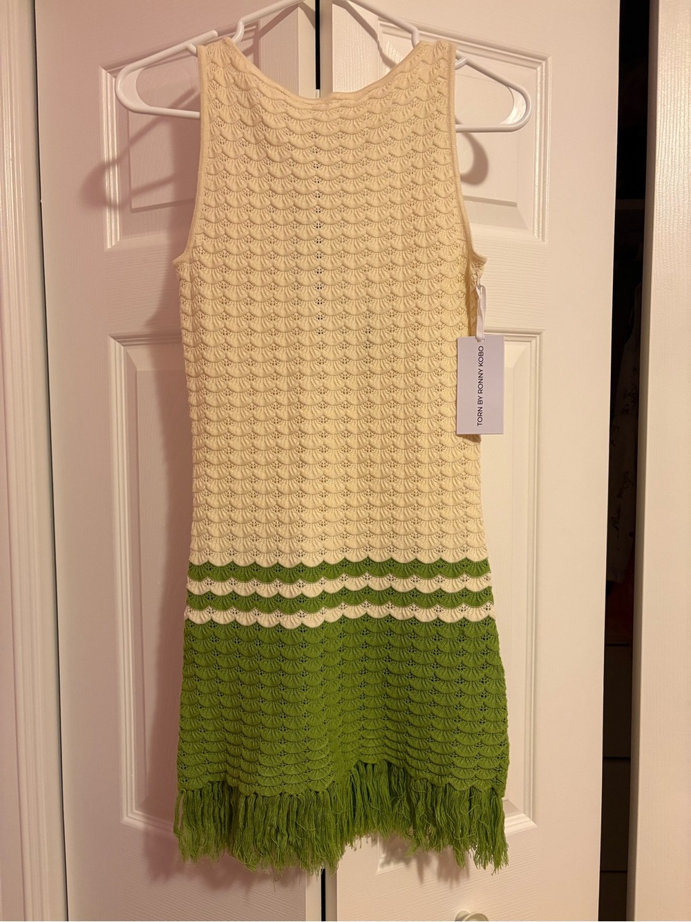 Torn by Ronny Kobo Cream and Green Knit Fringe Dress